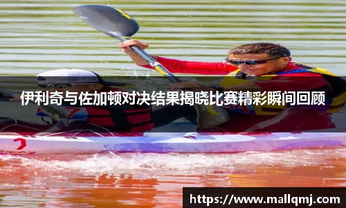 伊利奇与佐加顿对决结果揭晓比赛精彩瞬间回顾